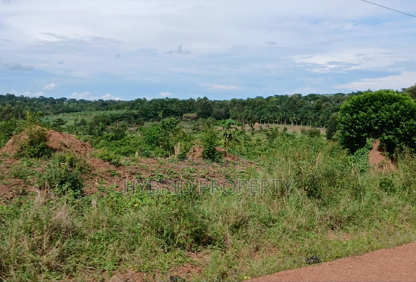 145acres Of Commercial Tarmac Land For Sale At Busunju Along Hoima Rd.