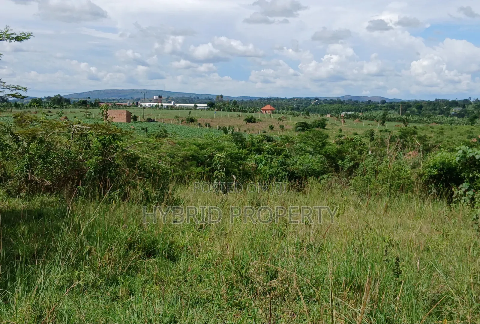 145acres Of Commercial Tarmac Land For Sale At Busunju Along Hoima Rd.