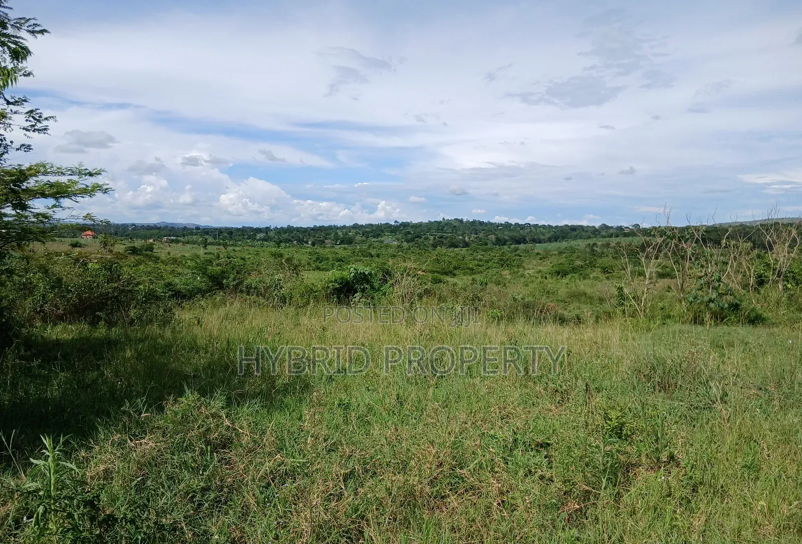 145acres Of Commercial Tarmac Land For Sale At Busunju Along Hoima Rd.