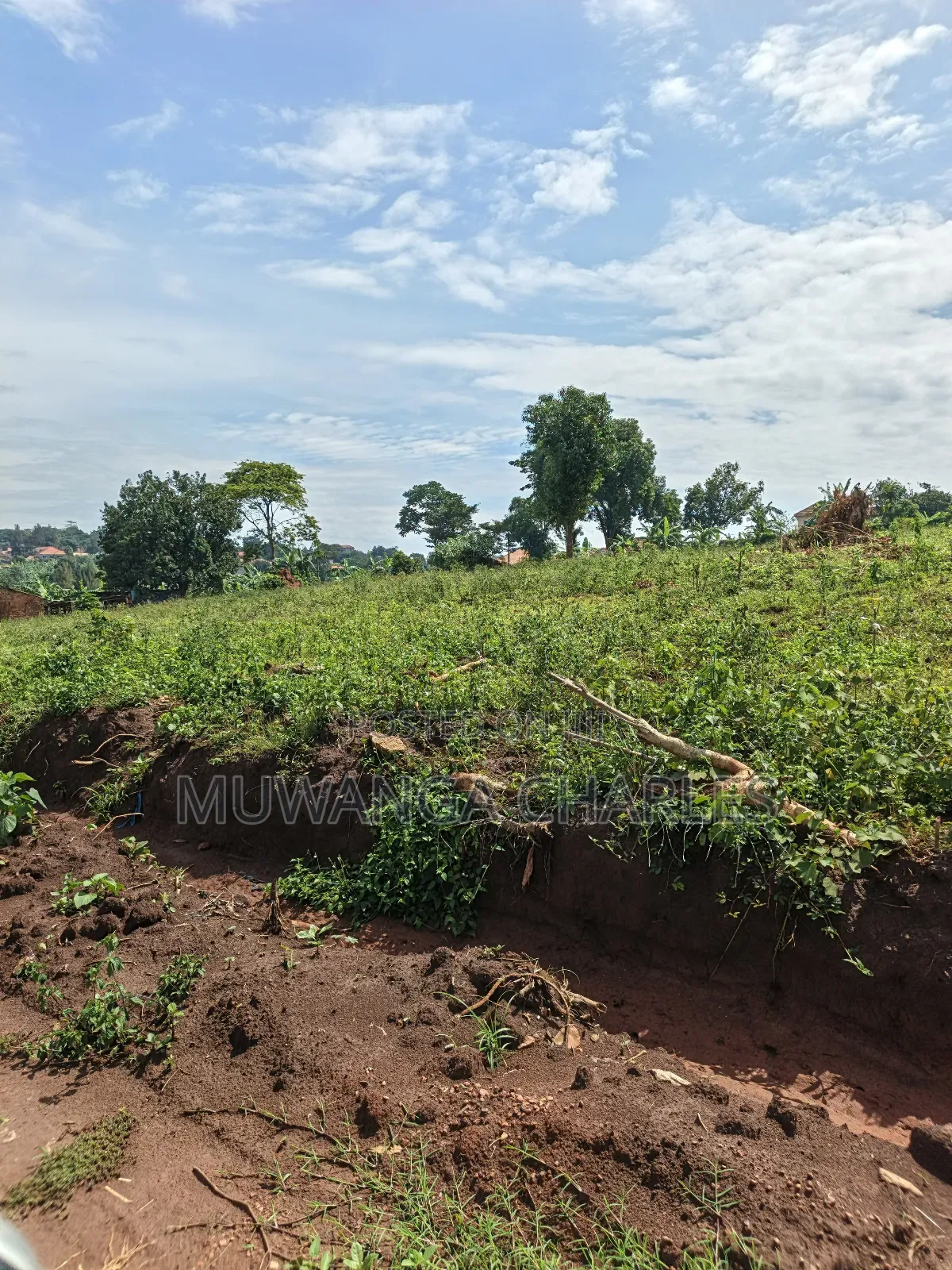1.5acres of Land on Sale in Kulambilo Kisaasi