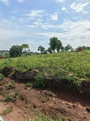 1.5acres of Land on Sale in Kulambilo Kisaasi