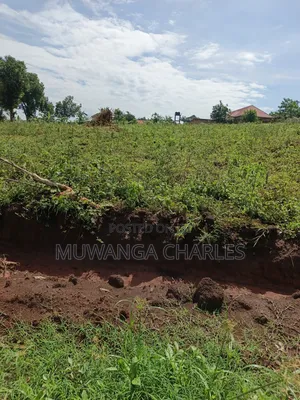 1.5acres of Land on Sale in Kulambilo Kisaasi