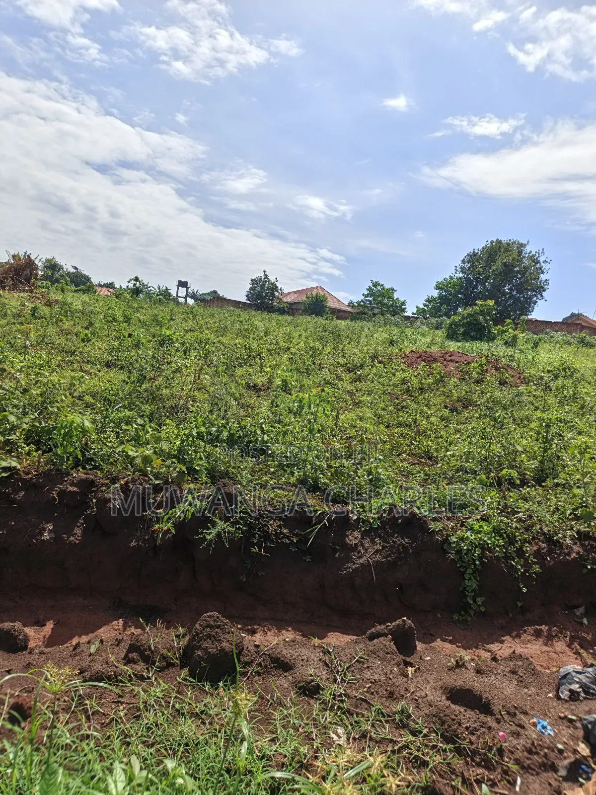 1.5acres of Land on Sale in Kulambilo Kisaasi