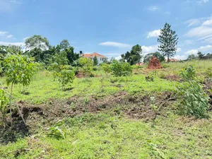 Plot of Land on Sale in Kyanja Kungu
