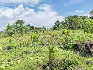 Plot of Land on Sale in Kyanja Kungu