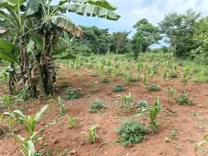 40ft by 30ft Plot on Sell in Matugga Buwambo