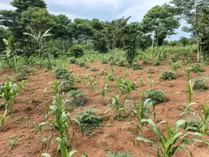 40ft by 30ft Plot on Sell in Matugga Buwambo