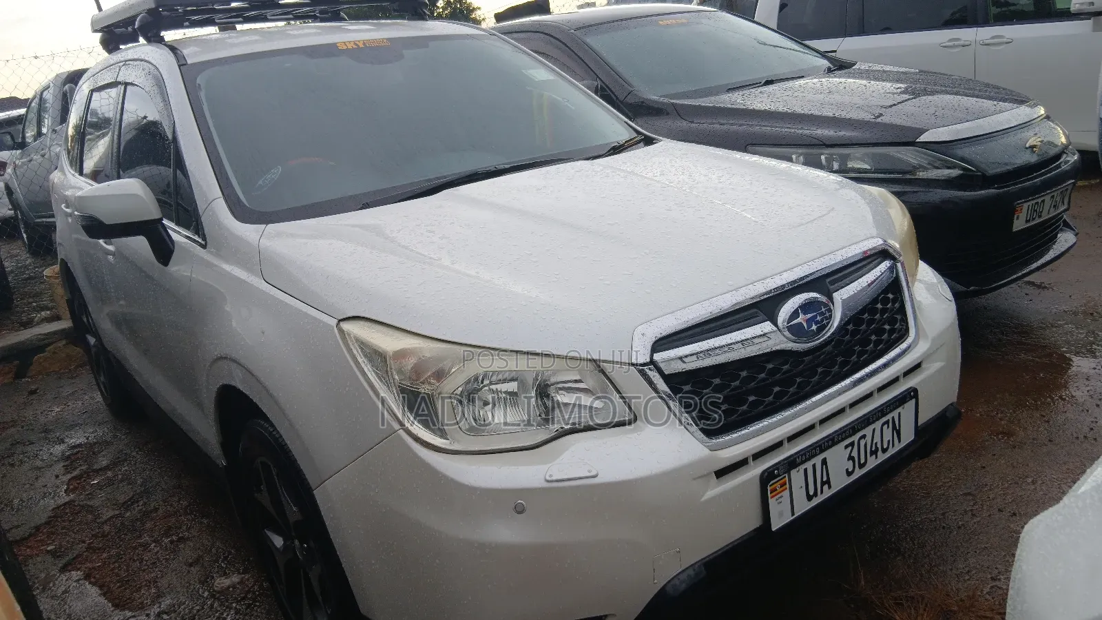 Subaru Forester 2015 White