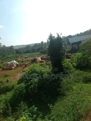 50ft by 50ft Plot on Sell in Matugga Buwambo