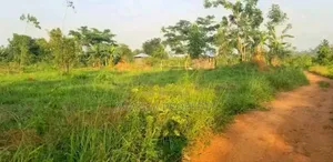 50ft by 22ft Plots on Sell in Matugga Buwambo