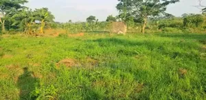 50ft by 22ft Plots on Sell in Matugga Buwambo