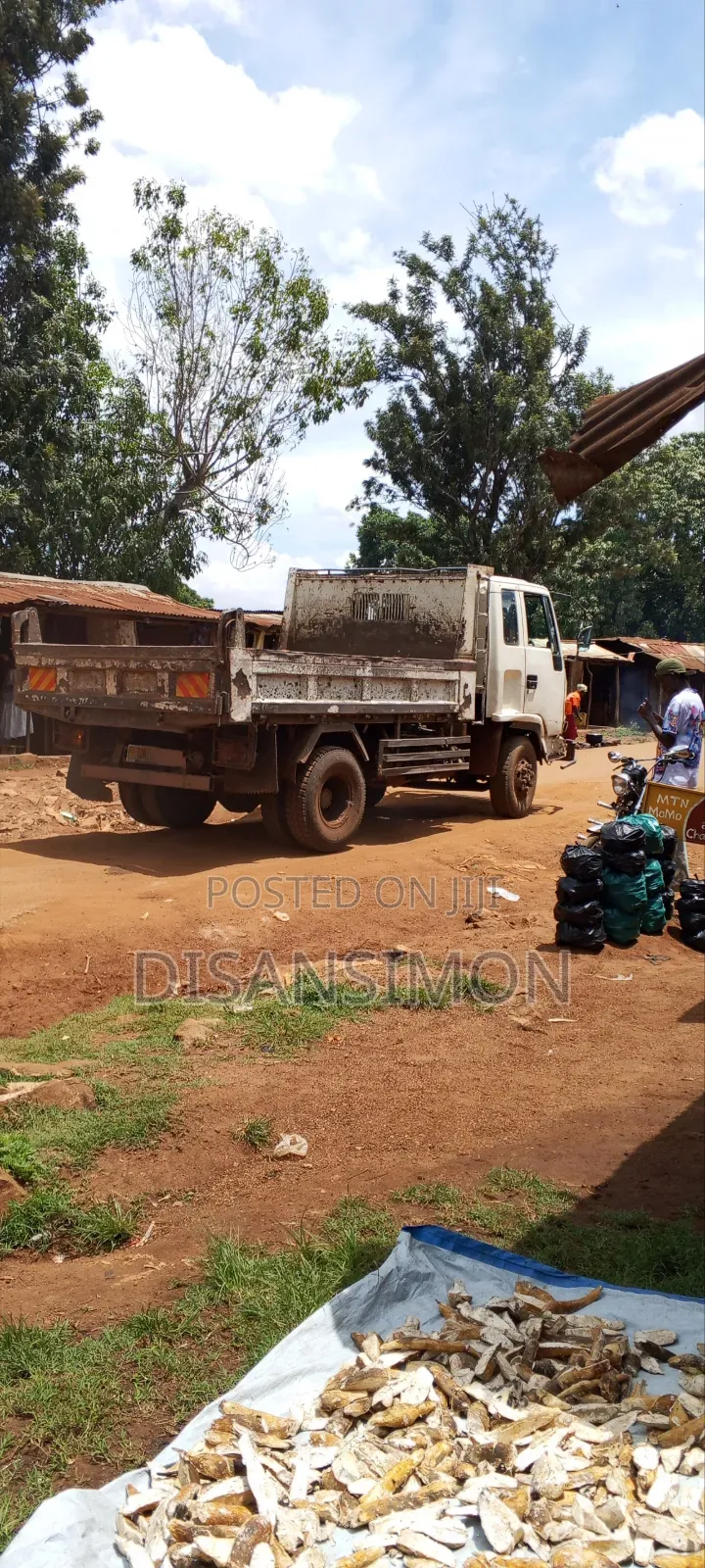 Isuzu Forward Tipper on Quick Sale