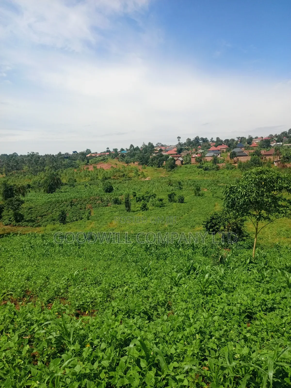 18 Acres of Land in Mbalala Mukono