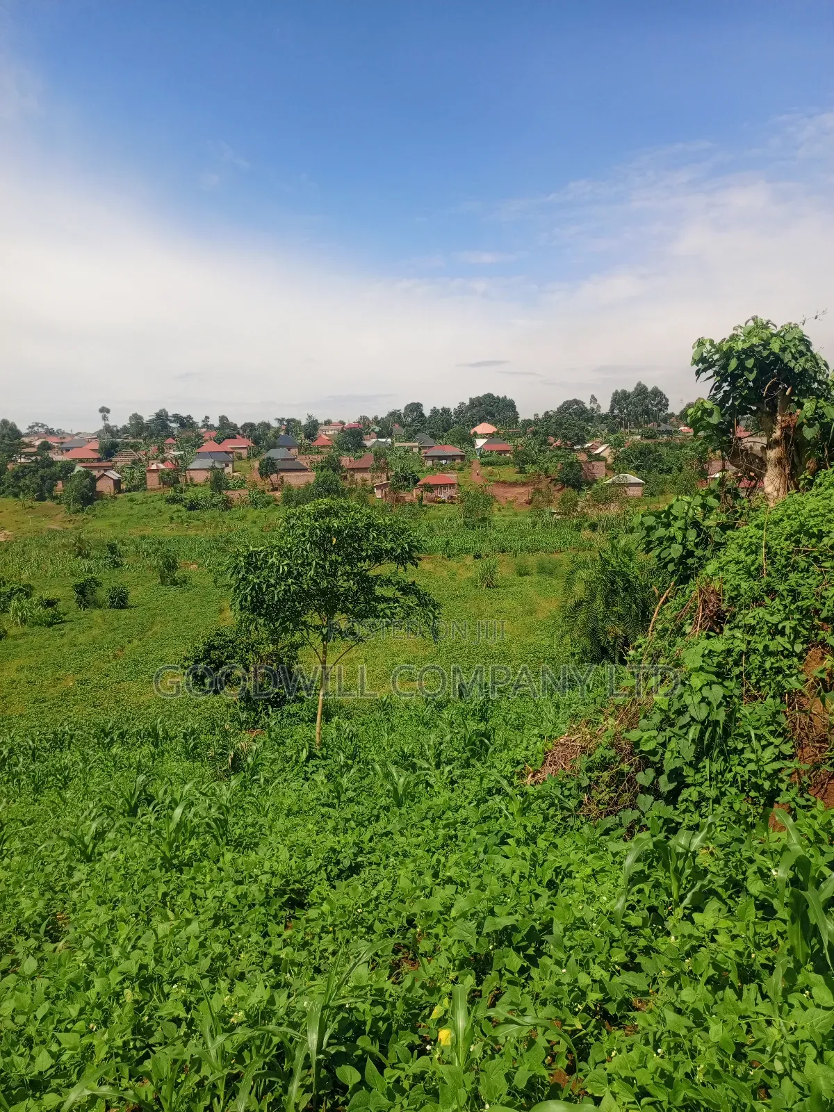 18 Acres of Land in Mbalala Mukono