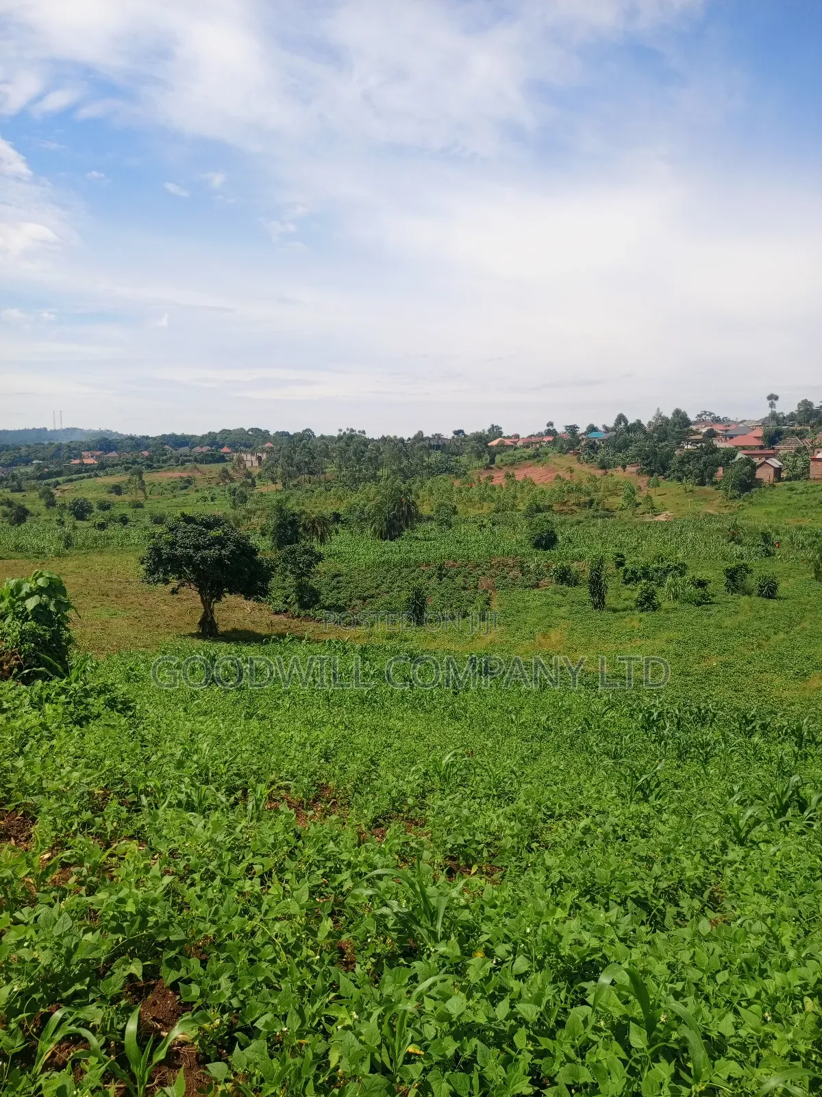 18 Acres of Land in Mbalala Mukono