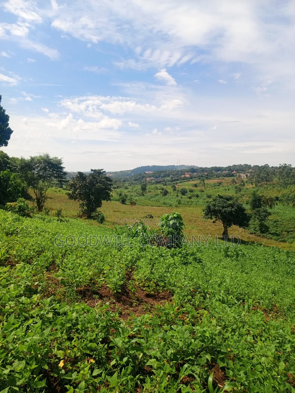 18 Acres of Land in Mbalala Mukono