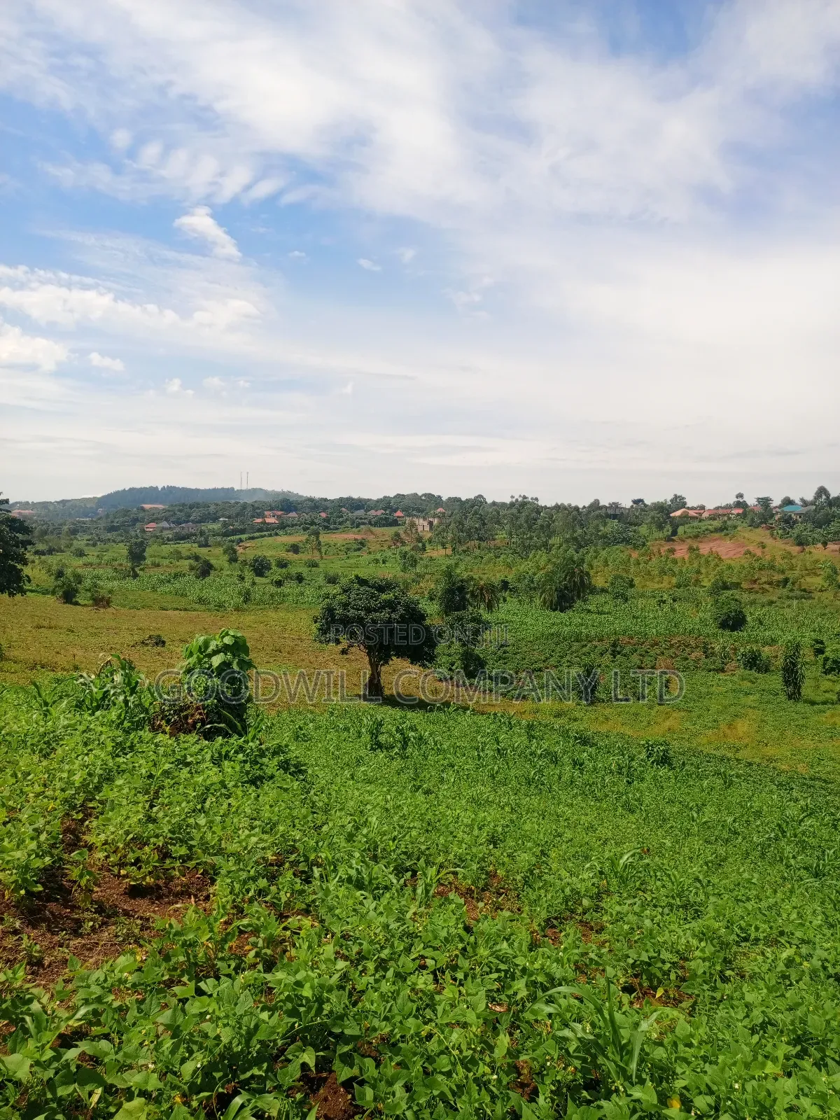 18 Acres of Land in Mbalala Mukono