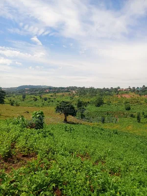 18 Acres of Land in Mbalala Mukono