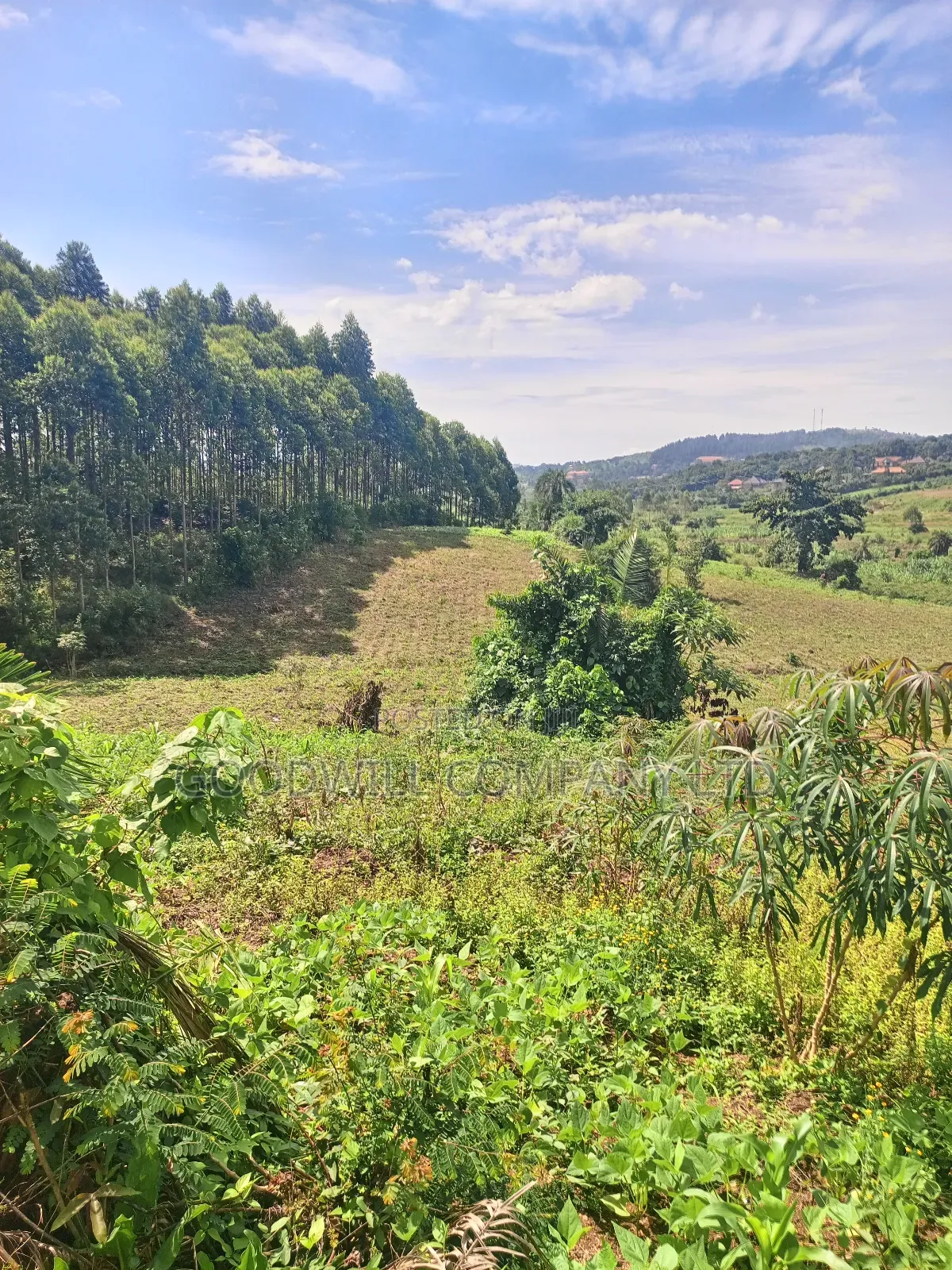 18 Acres of Land in Mbalala Mukono