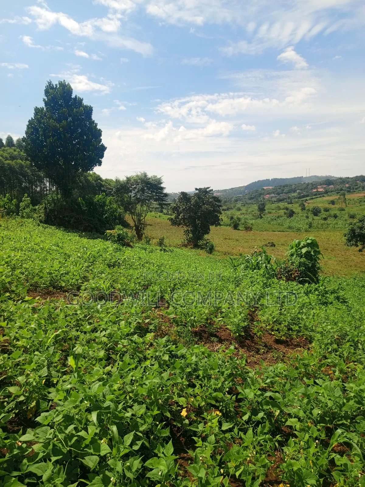 18 Acres of Land in Mbalala Mukono