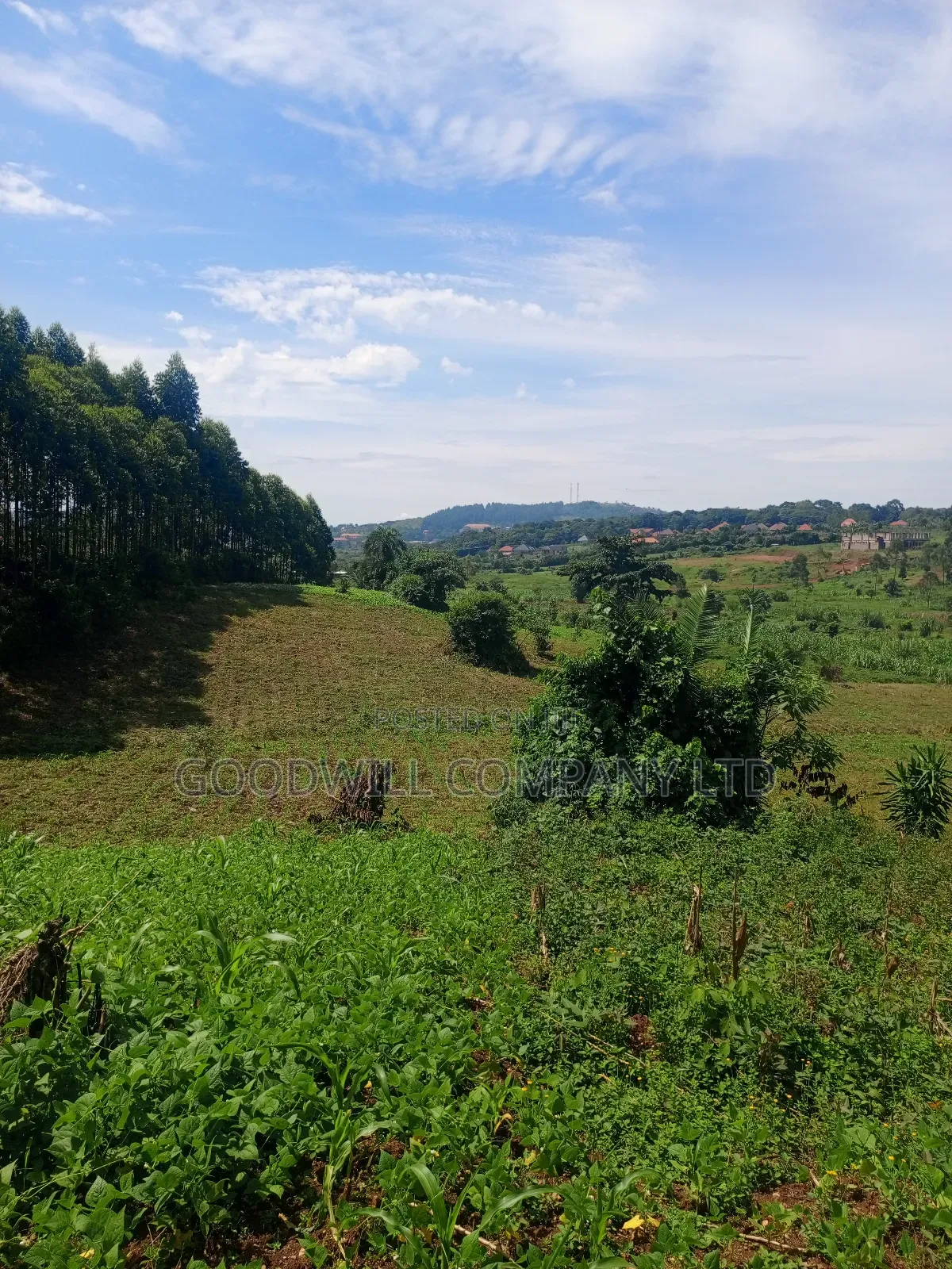 18 Acres of Land in Mbalala Mukono