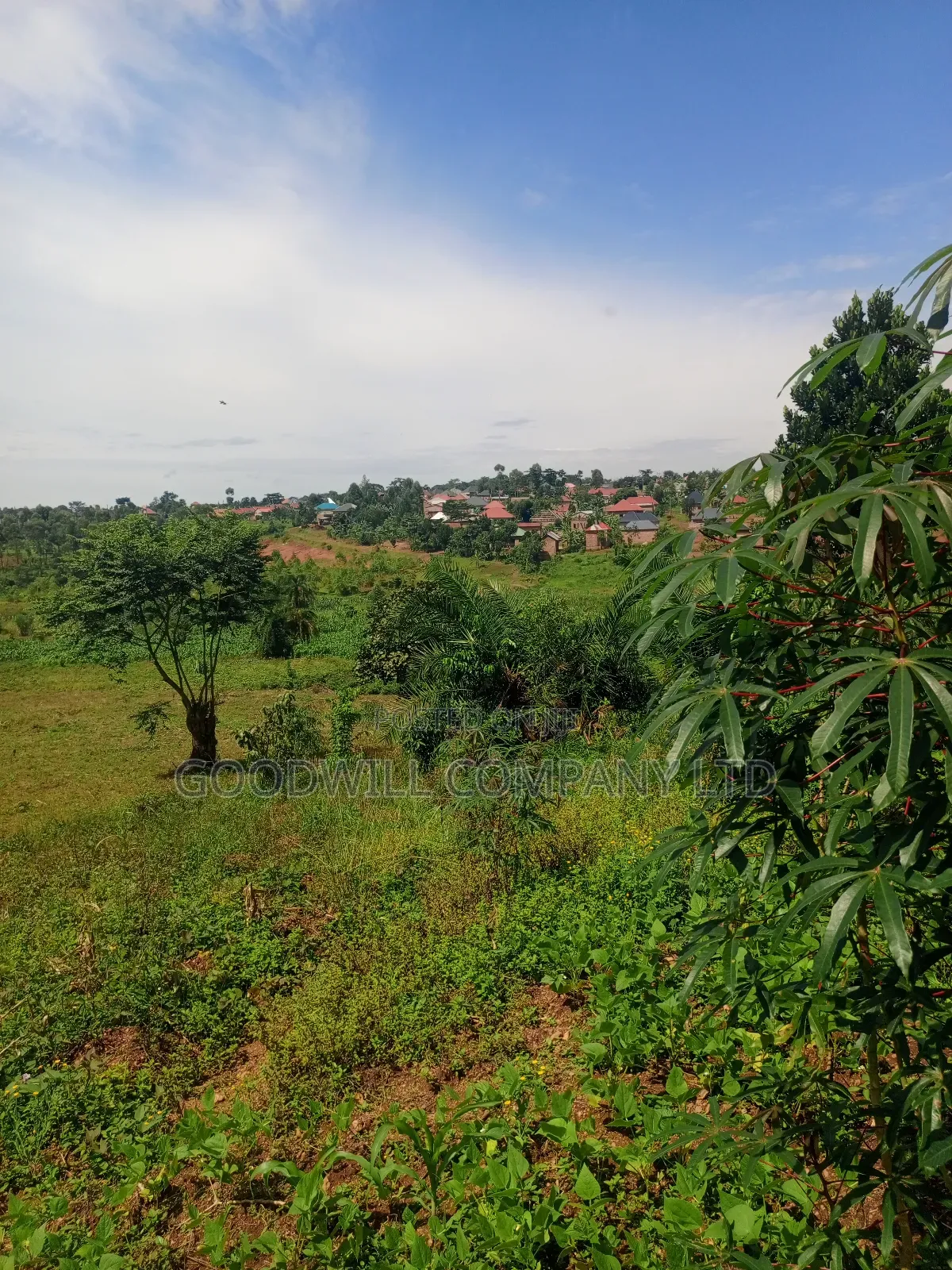 18 Acres of Land in Mbalala Mukono