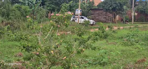 Plots for Sale at Wakiso Near Town