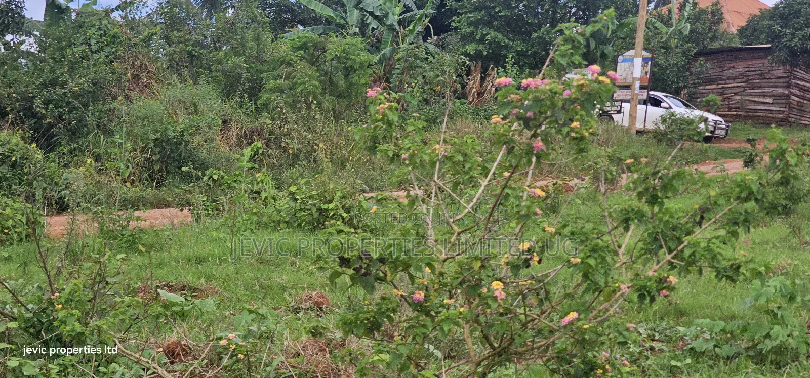 Plots for Sale at Wakiso Near Town