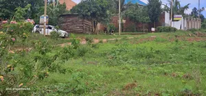 Plots for Sale at Wakiso Near Town