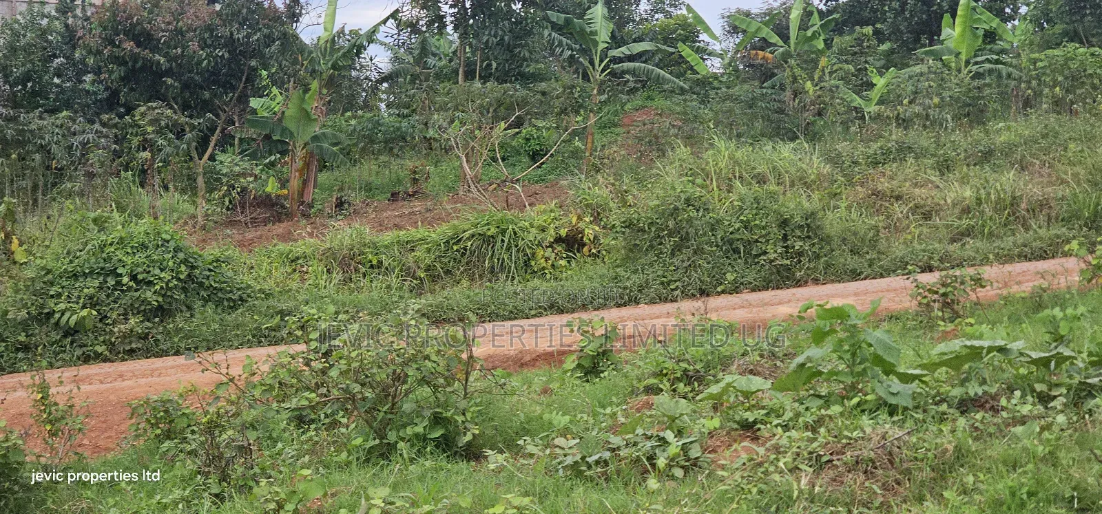Plots for Sale at Wakiso Near Town