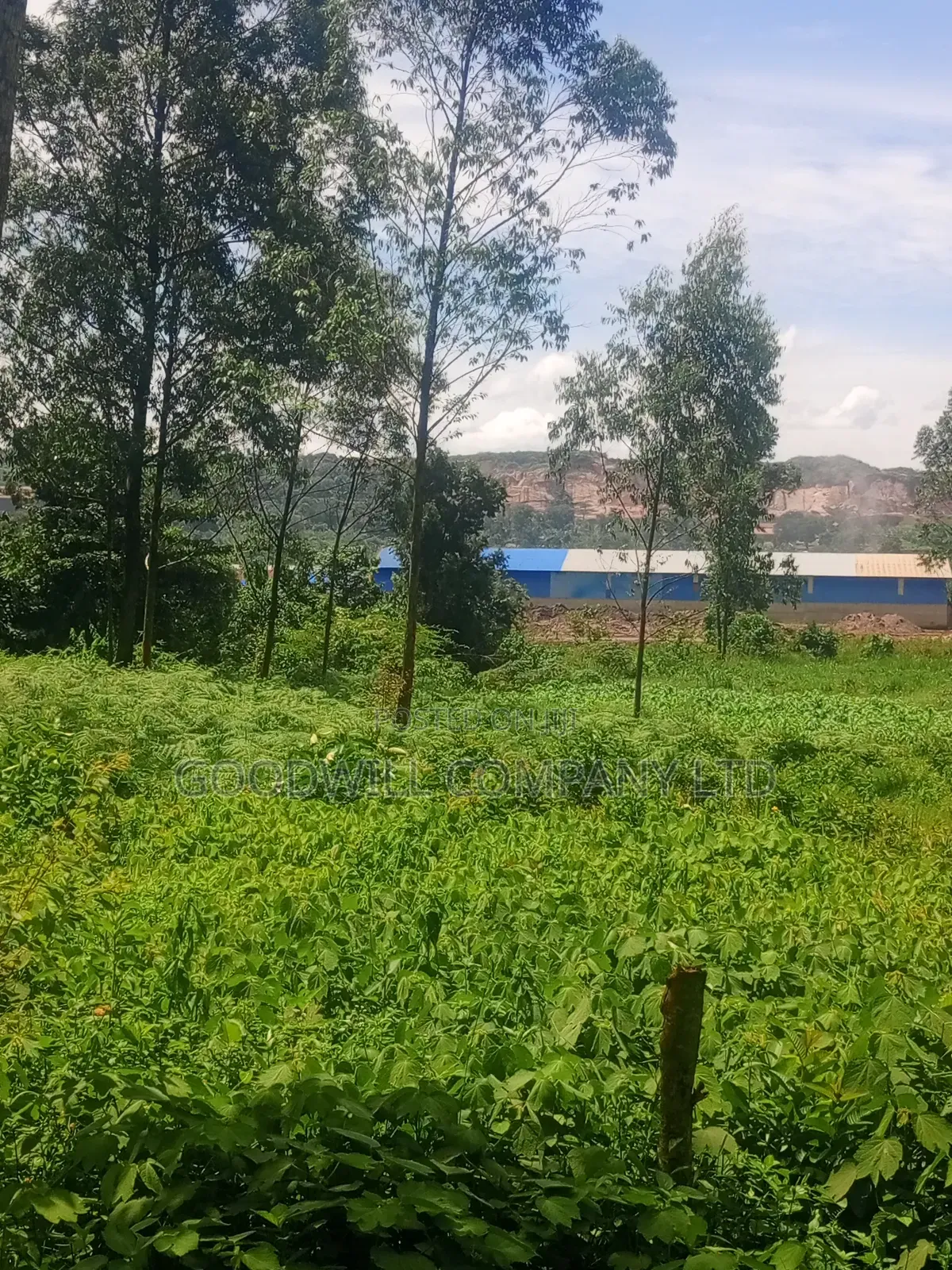 11 Acres of Land in Mbalala Mukono