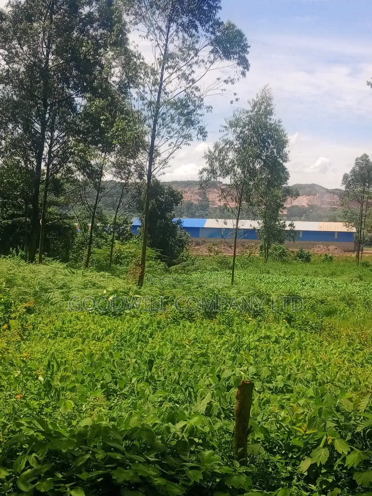 11 Acres of Land in Mbalala Mukono
