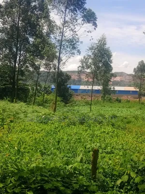 11 Acres of Land in Mbalala Mukono
