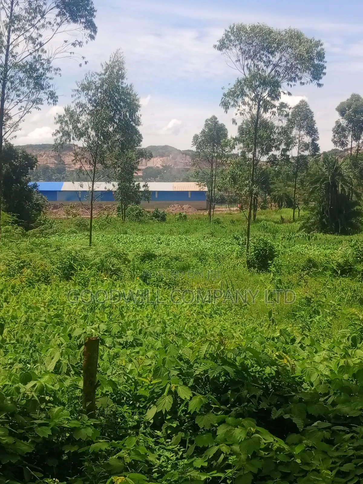 11 Acres of Land in Mbalala Mukono