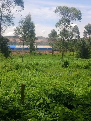 11 Acres of Land in Mbalala Mukono