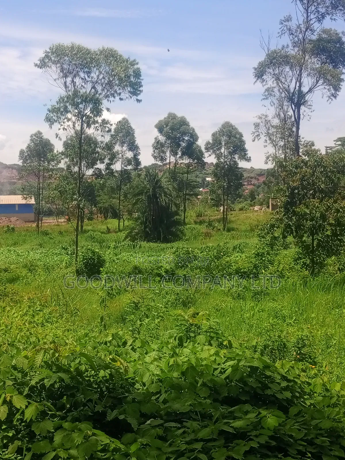 11 Acres of Land in Mbalala Mukono