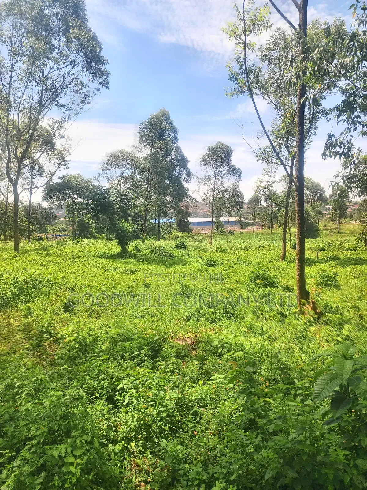 11 Acres of Land in Mbalala Mukono