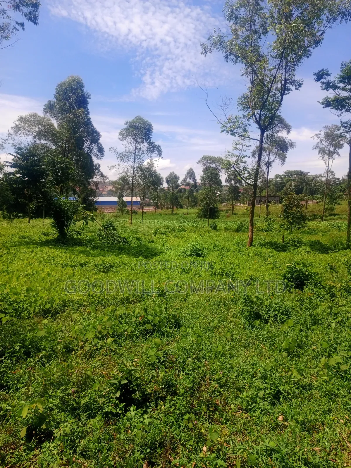 11 Acres of Land in Mbalala Mukono