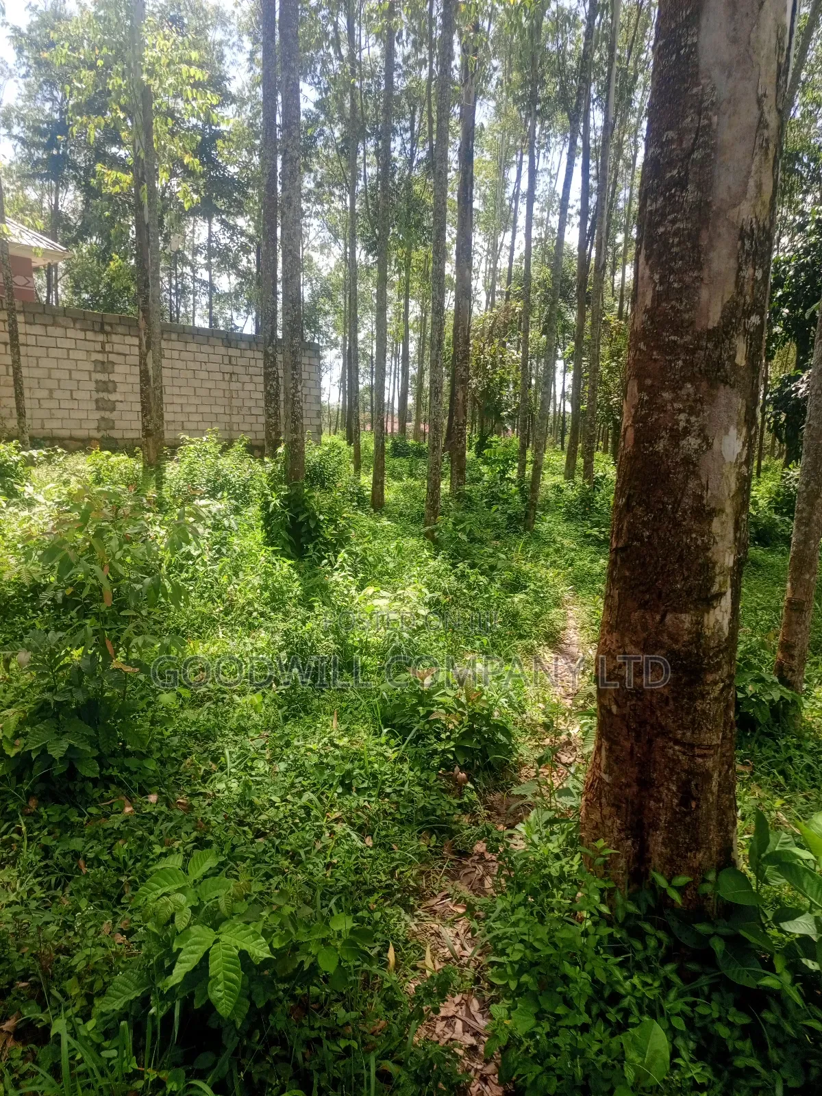 11 Acres of Land in Mbalala Mukono