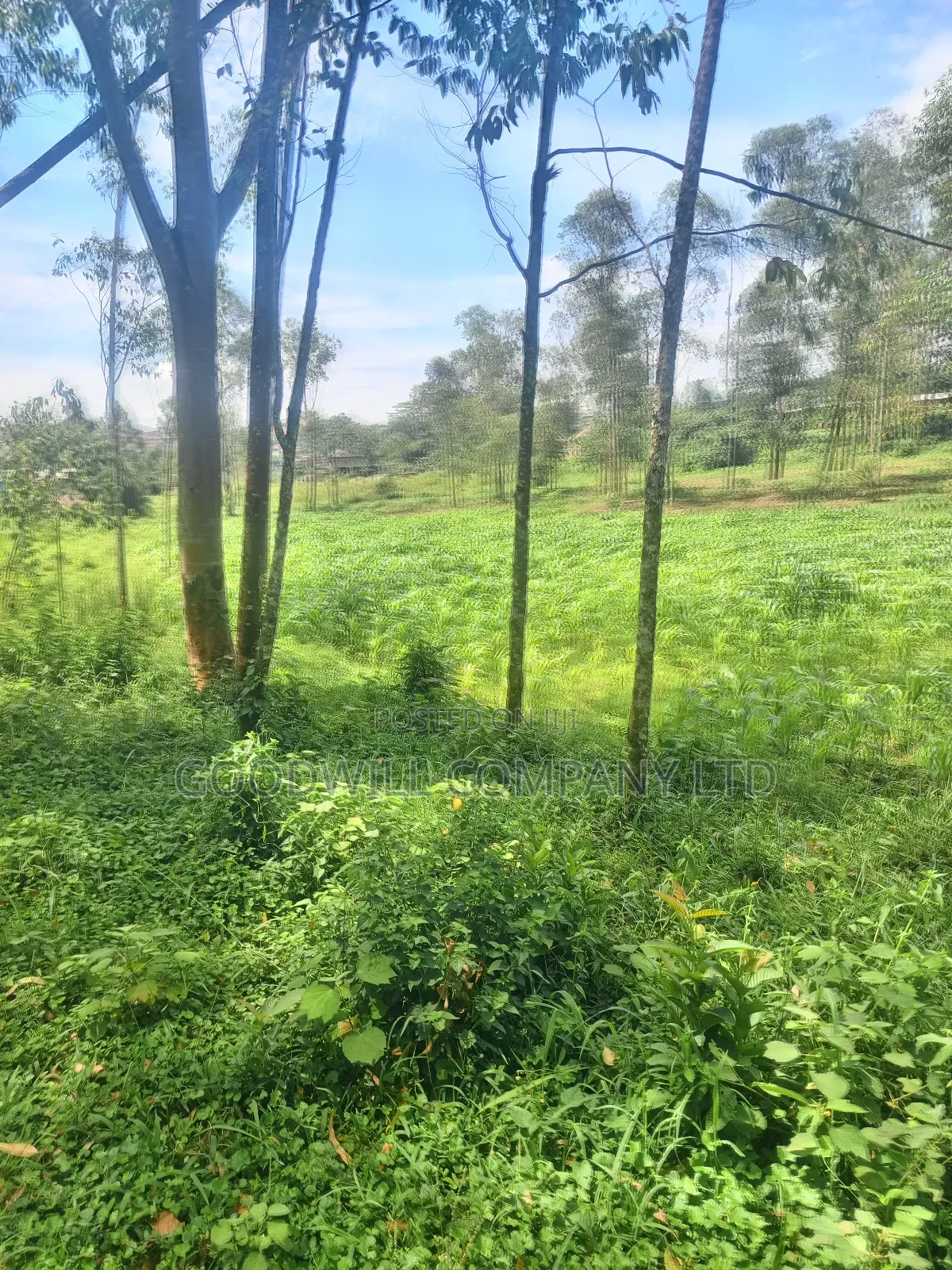 11 Acres of Land in Mbalala Mukono