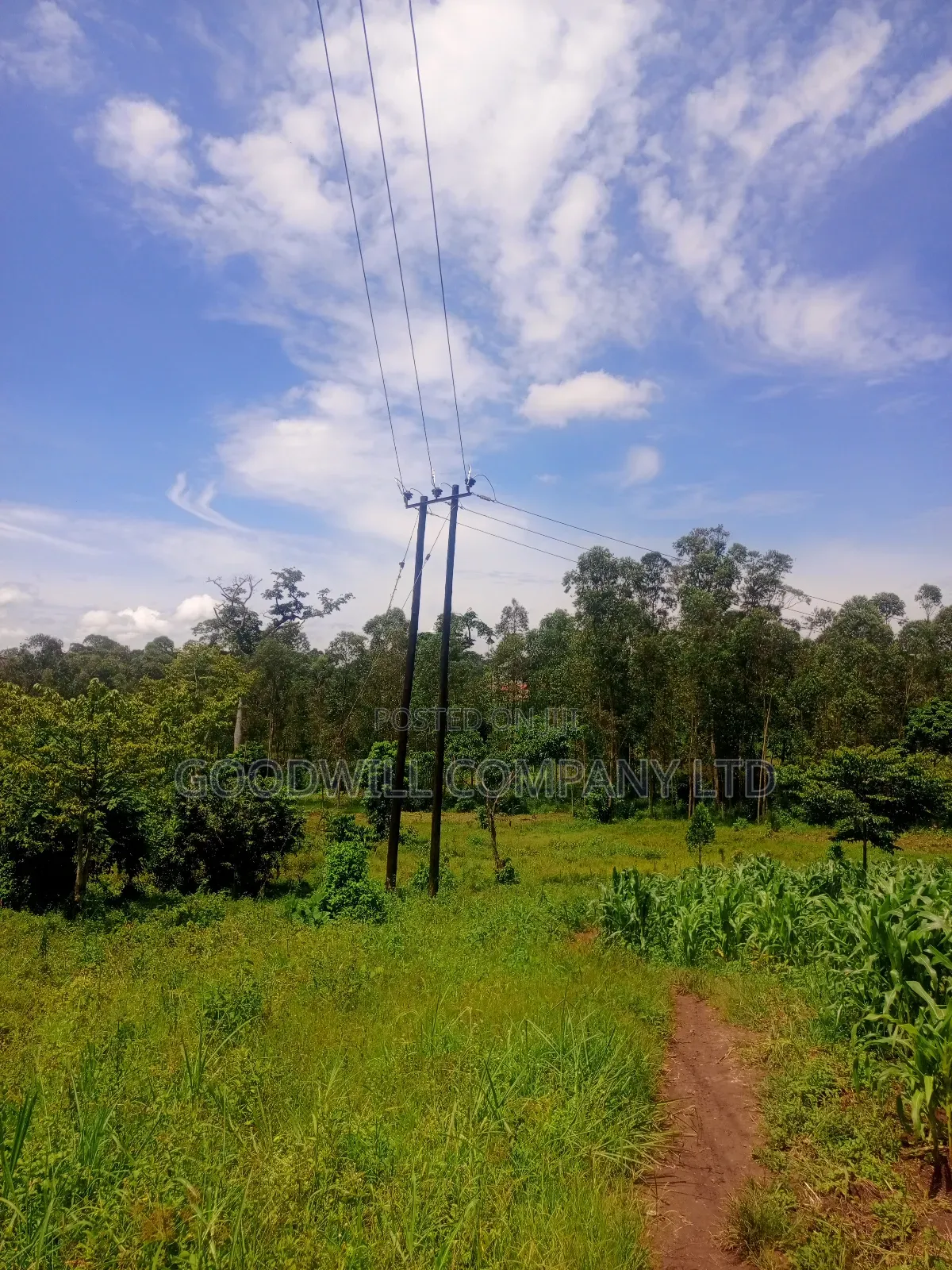2 Acres of Land in Mbalala Mukono With 3phase Electricity on Ground