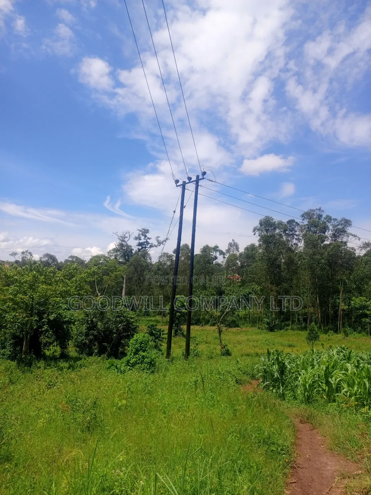 2 Acres of Land in Mbalala Mukono With 3phase Electricity on Ground