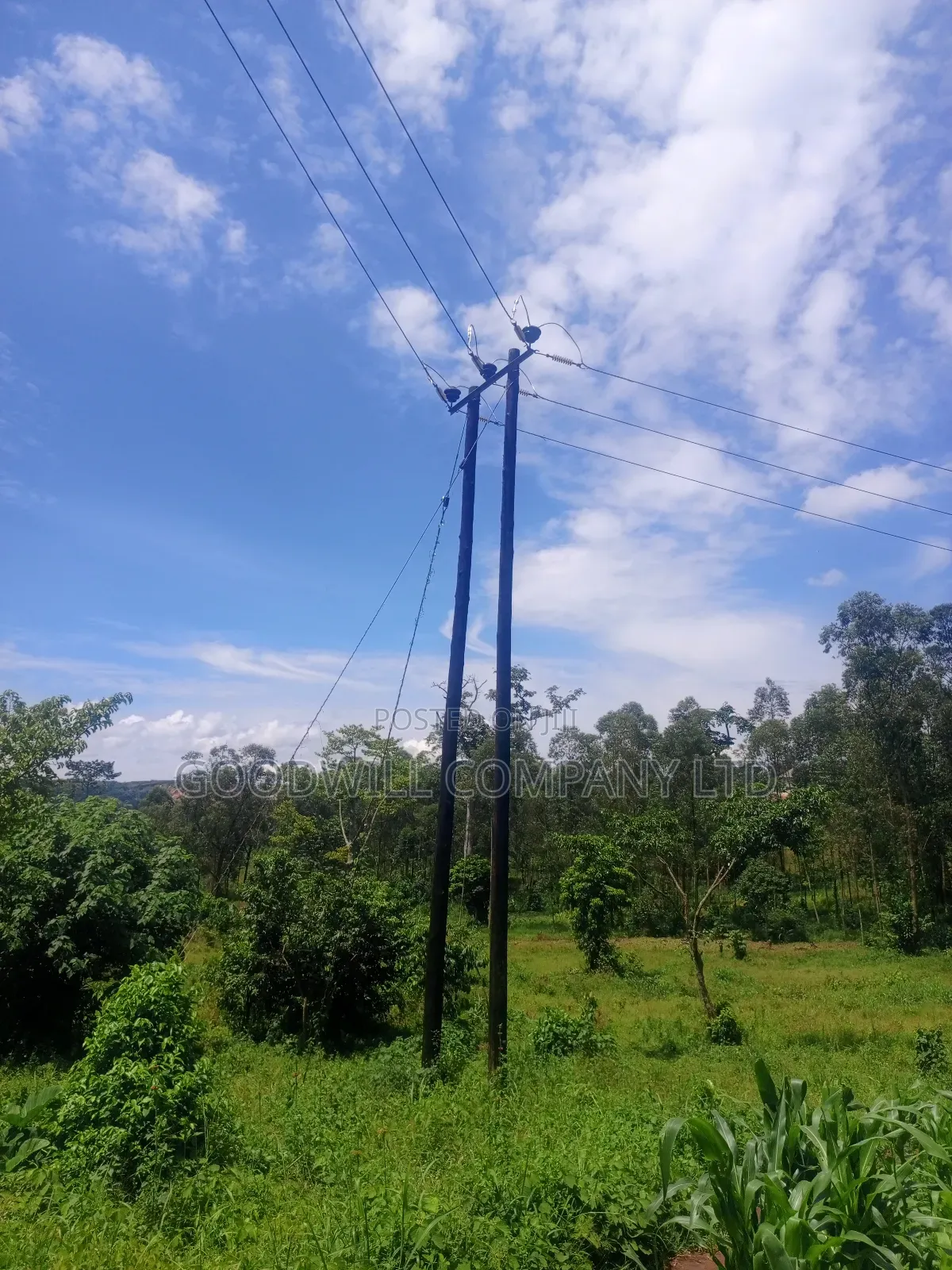 2 Acres of Land in Mbalala Mukono With 3phase Electricity on Ground