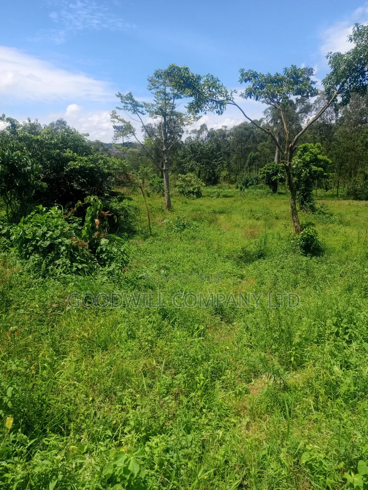 2 Acres of Land in Mbalala Mukono With 3phase Electricity on Ground