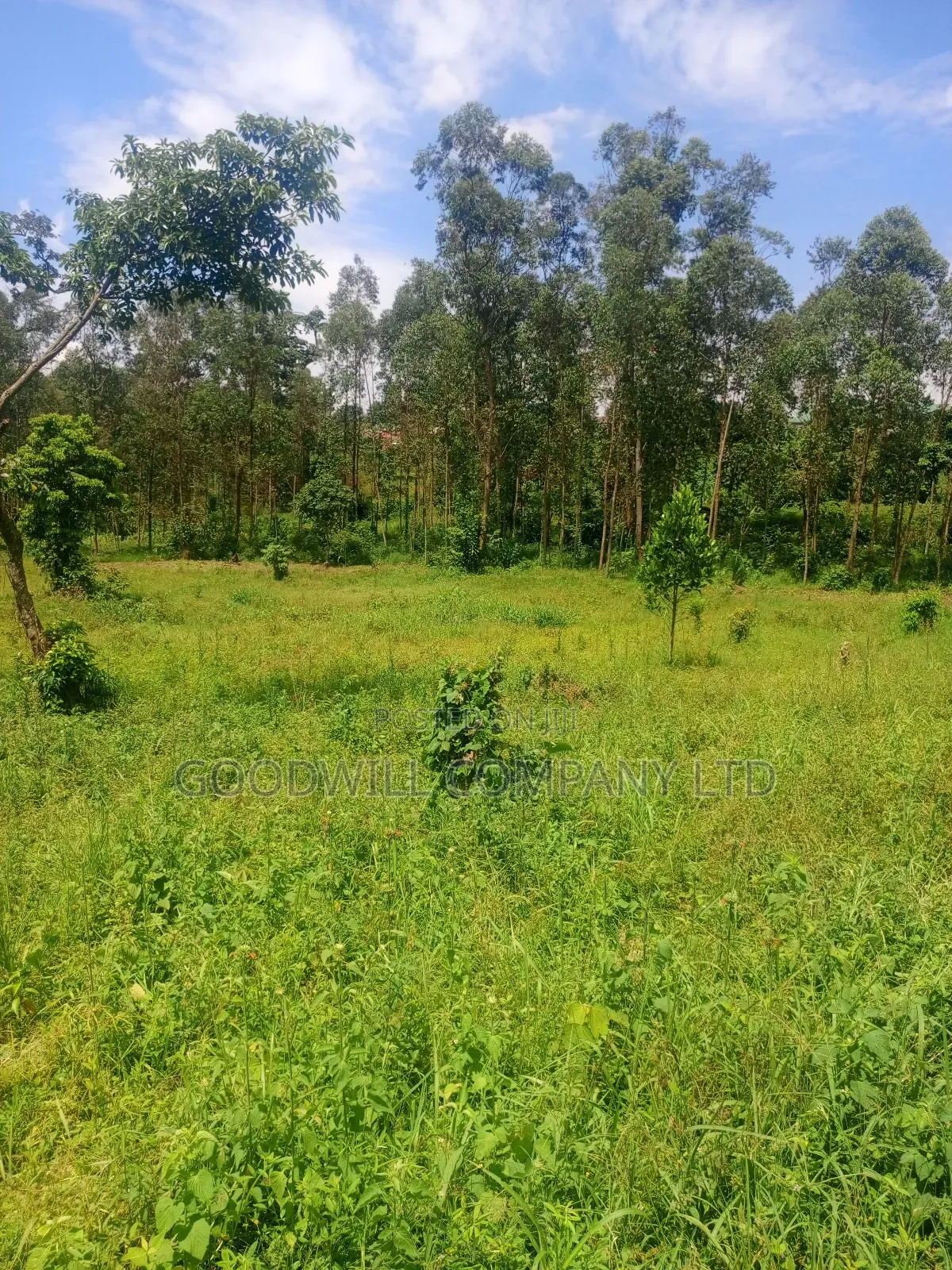 2 Acres of Land in Mbalala Mukono With 3phase Electricity on Ground