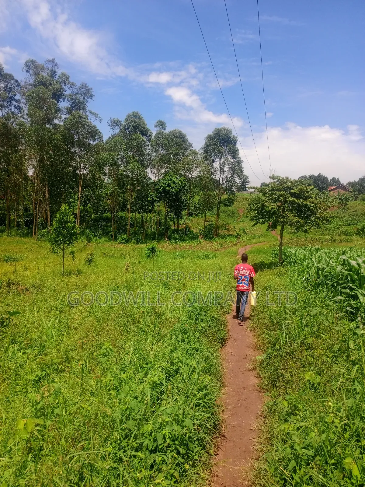 2 Acres of Land in Mbalala Mukono With 3phase Electricity on Ground