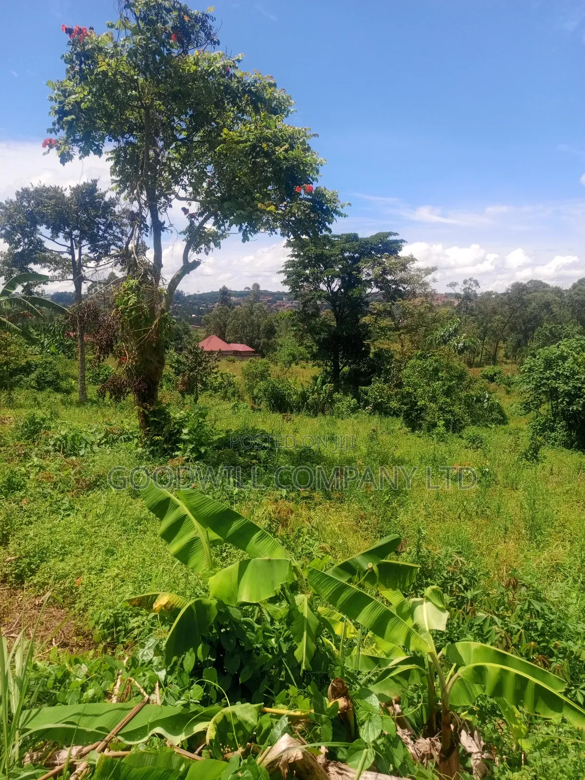 2 Acres of Land in Mbalala Mukono With 3phase Electricity on Ground