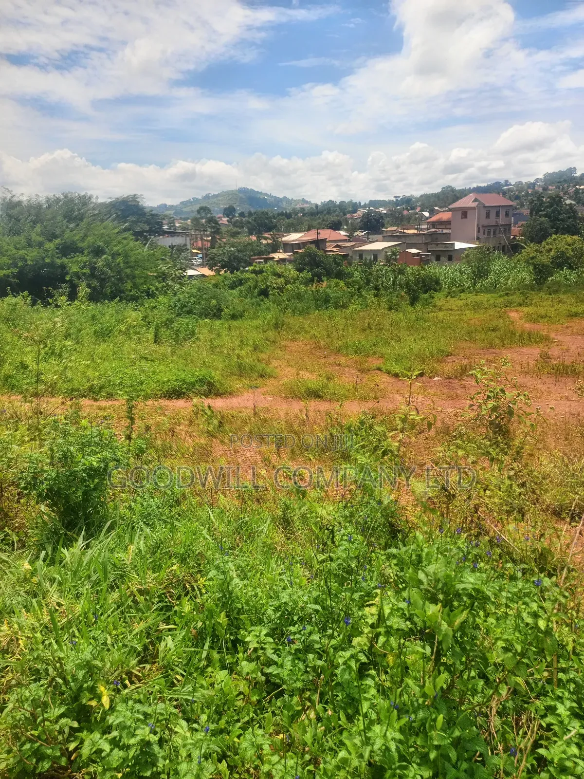 6 Acres of Land in Mbalala Mukono Touching on a Bigger Feeder Road
