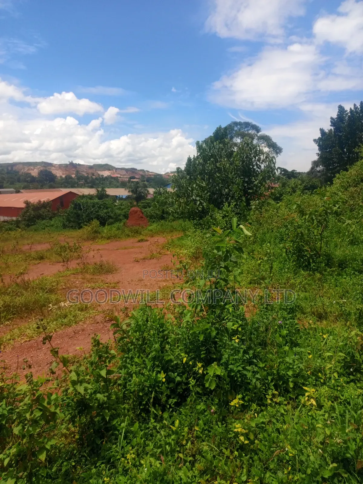 6 Acres of Land in Mbalala Mukono Touching on a Bigger Feeder Road