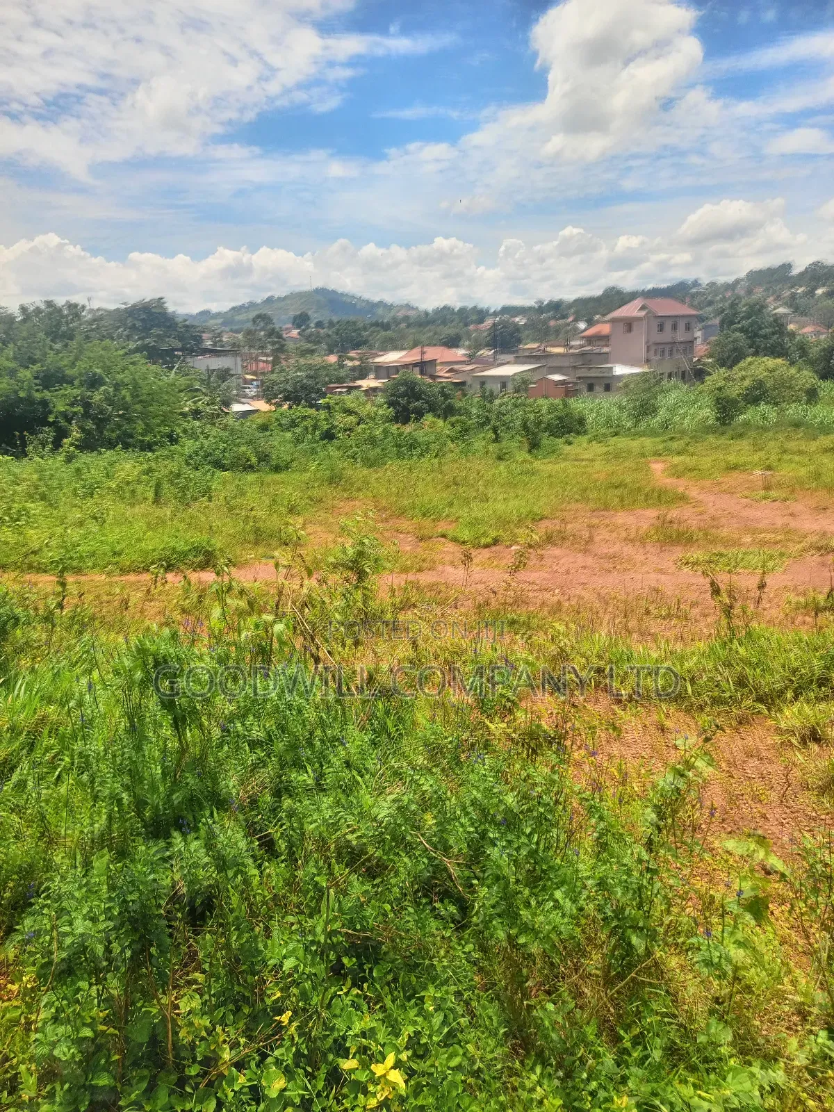 6 Acres of Land in Mbalala Mukono Touching on a Bigger Feeder Road